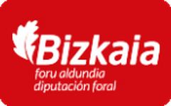Diputación Foral de Bizkaia
